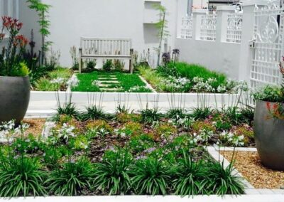 Plant Sourcing - Landscaping Durbanville